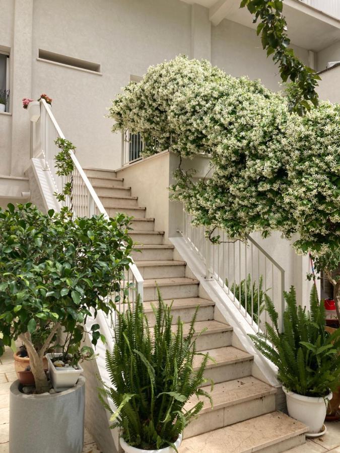 Meraki B&B 莱切 外观 照片